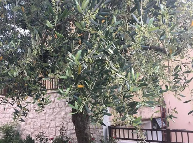 Casa Elite * 바르돌리노