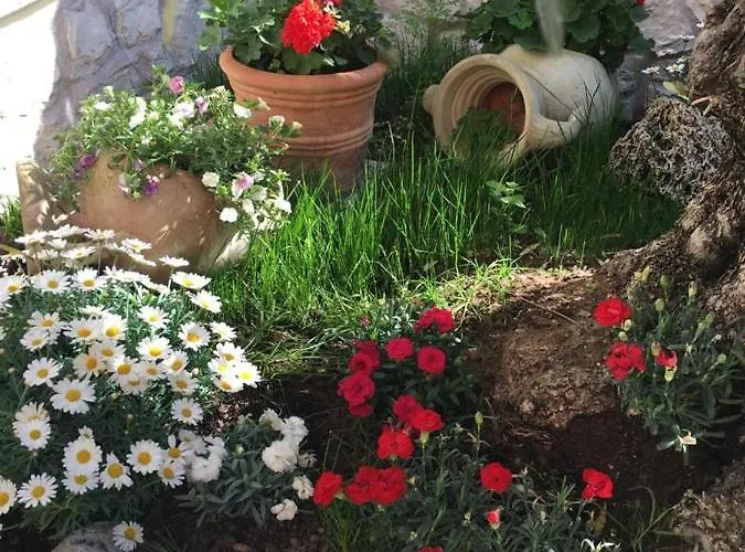 Casa Elite 아파트 바르돌리노