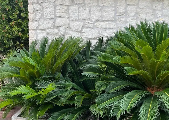 Casa Elite 아파트 *