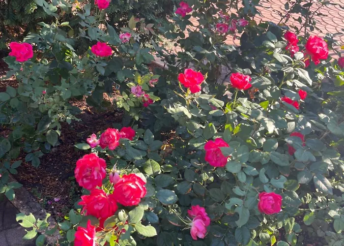 아파트 Casa Elite