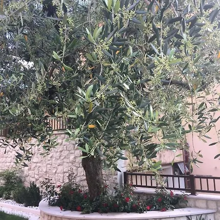 Casa Elite * Μπαρντολίνο