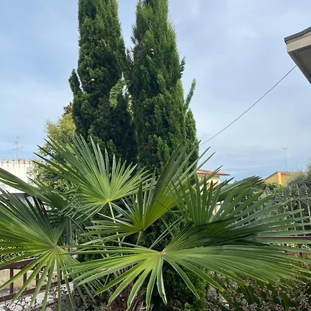 Casa Elite * Μπαρντολίνο